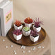 Mini Plante Artificielle