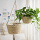 Pots pour Plante