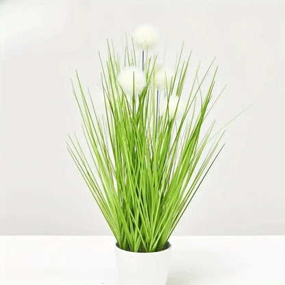 Allium Artificiels
