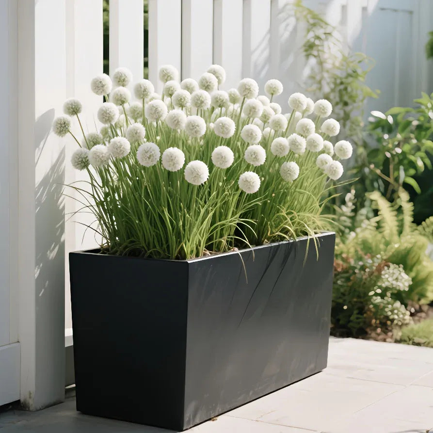 Allium Artificiels