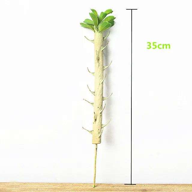 Euphorbia Cactus Artificiel