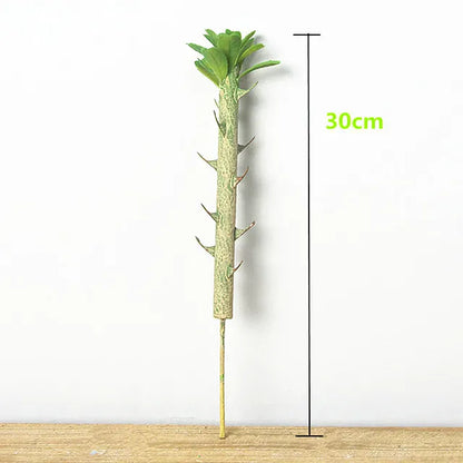 Euphorbia Cactus Artificiel