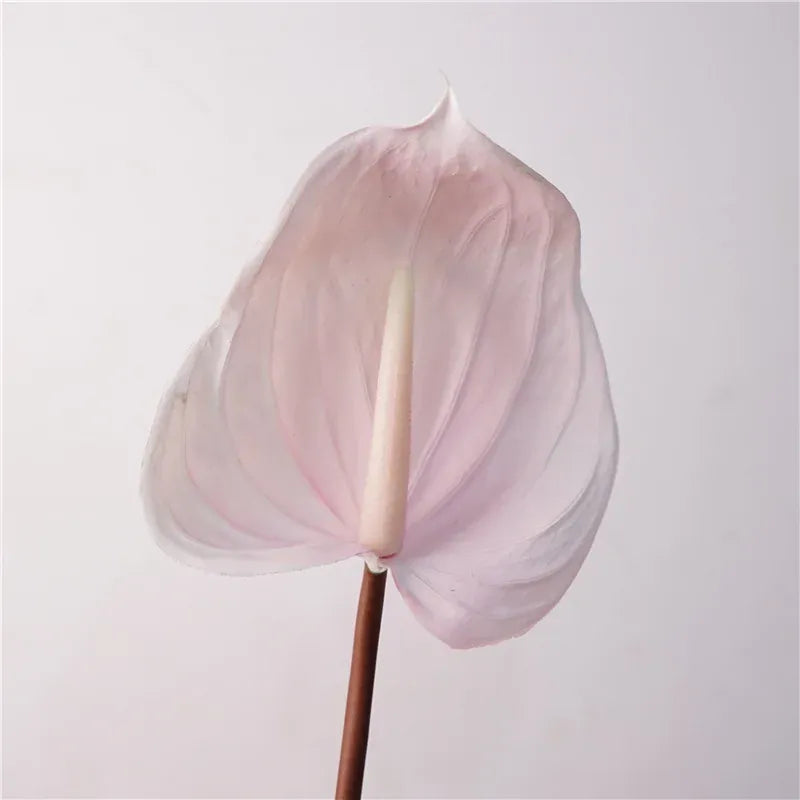 Anthurium Artificiel