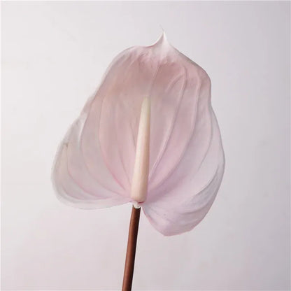 Anthurium Artificiel