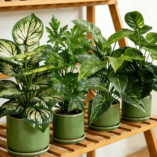 Lot de 4 Plantes Artificielles