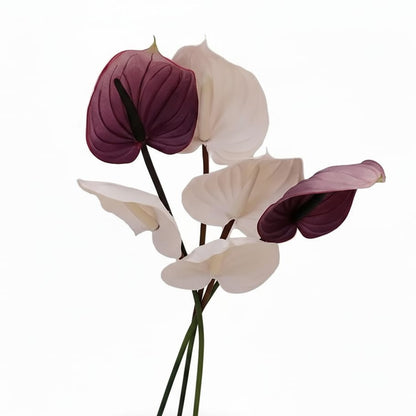 Anthurium Artificiel