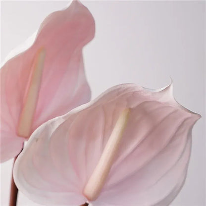 Anthurium Artificiel