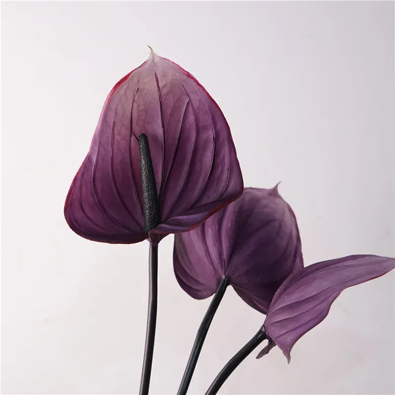 Anthurium Artificiel