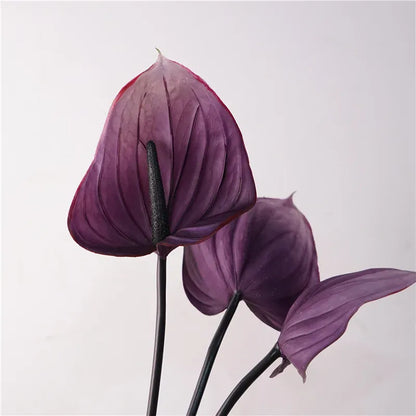 Anthurium Artificiel