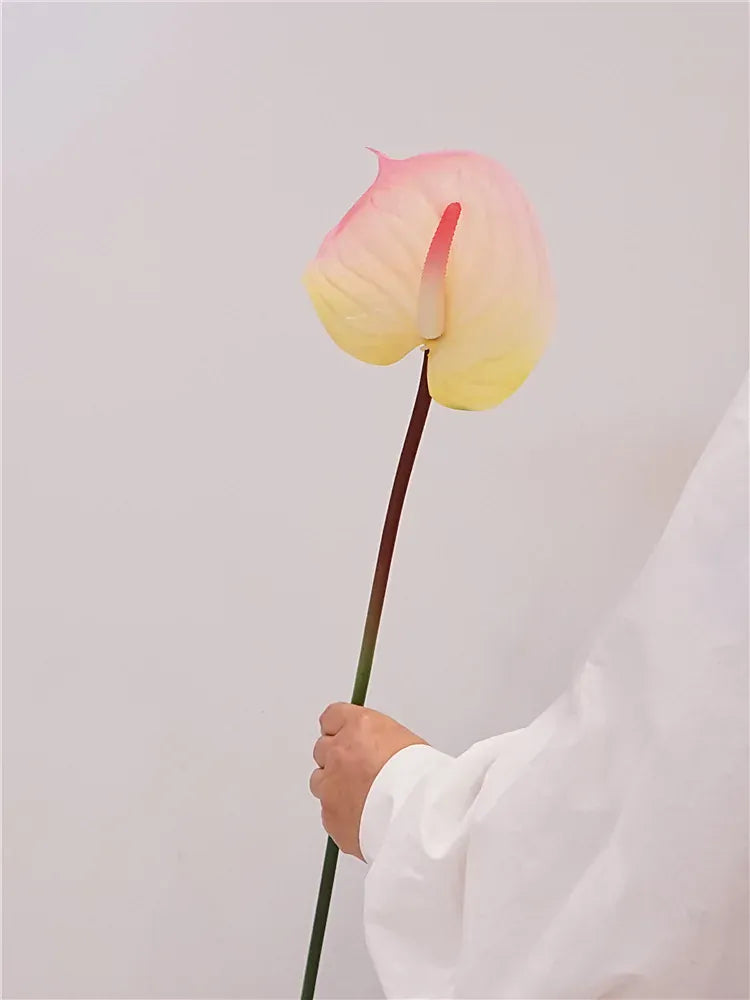 Anthurium Artificiel