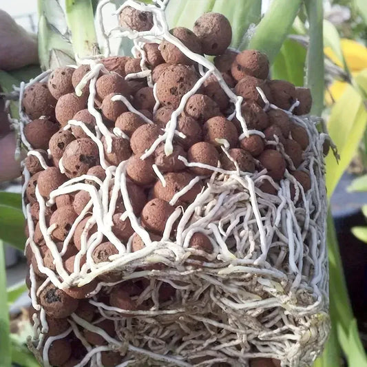 Argile pour Plante