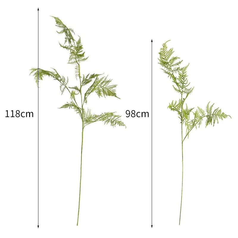Asparagus Artificiel