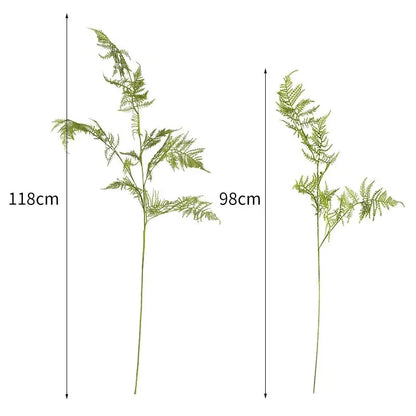 Asparagus Artificiel