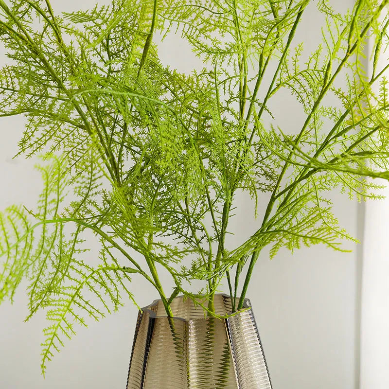 Asparagus Artificiel