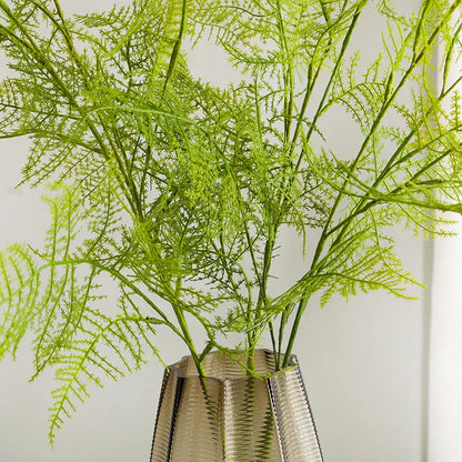 Asparagus Artificiel