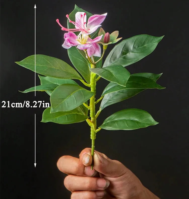 Bauhinia Artificielle