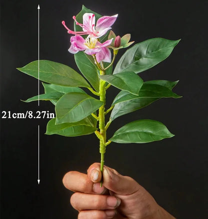 Bauhinia Artificielle