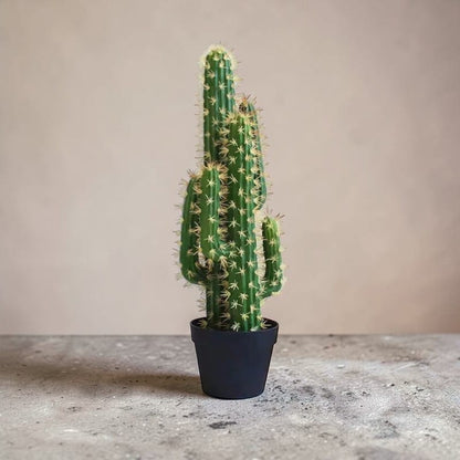 Catus Cierges Artificiel