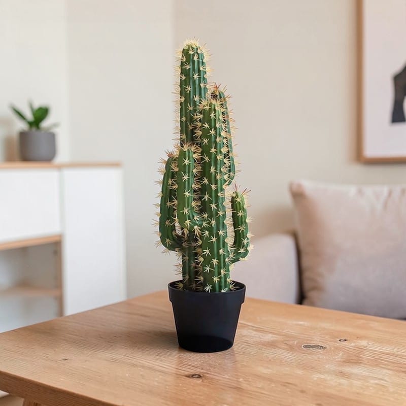 Catus Cierges Artificiel