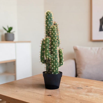 Catus Cierges Artificiel