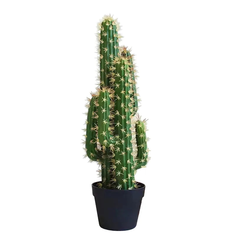 Catus Cierges Artificiel