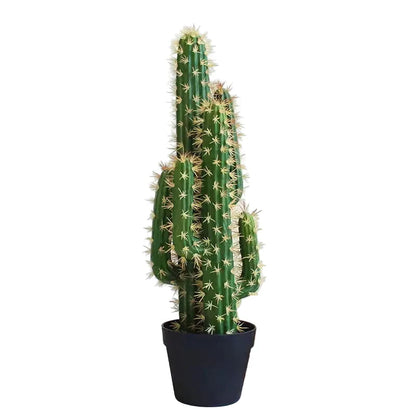 Catus Cierges Artificiel