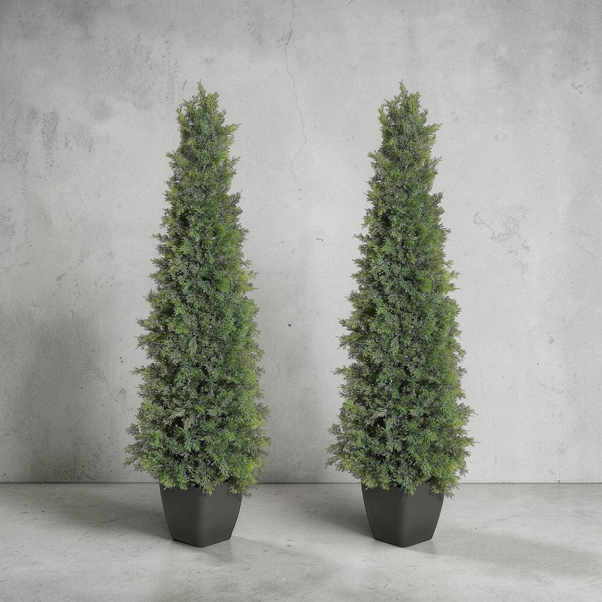 Cèdres Artificiels