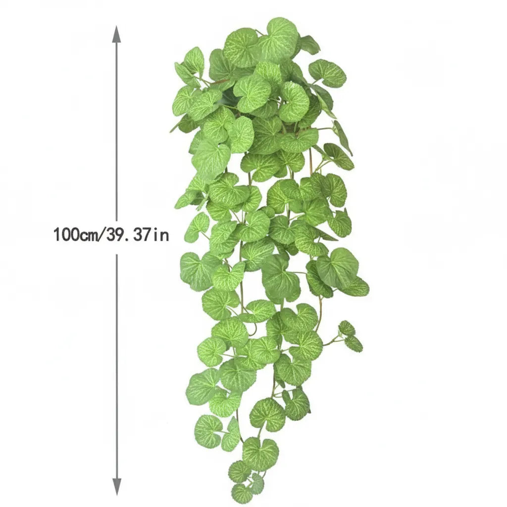 Dichondra Artificiel