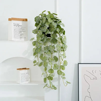 Dichondra Artificiel