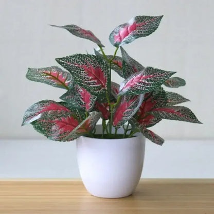 Dieffenbachia Artificielle