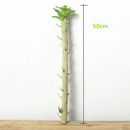 Euphorbia Cactus Artificiel