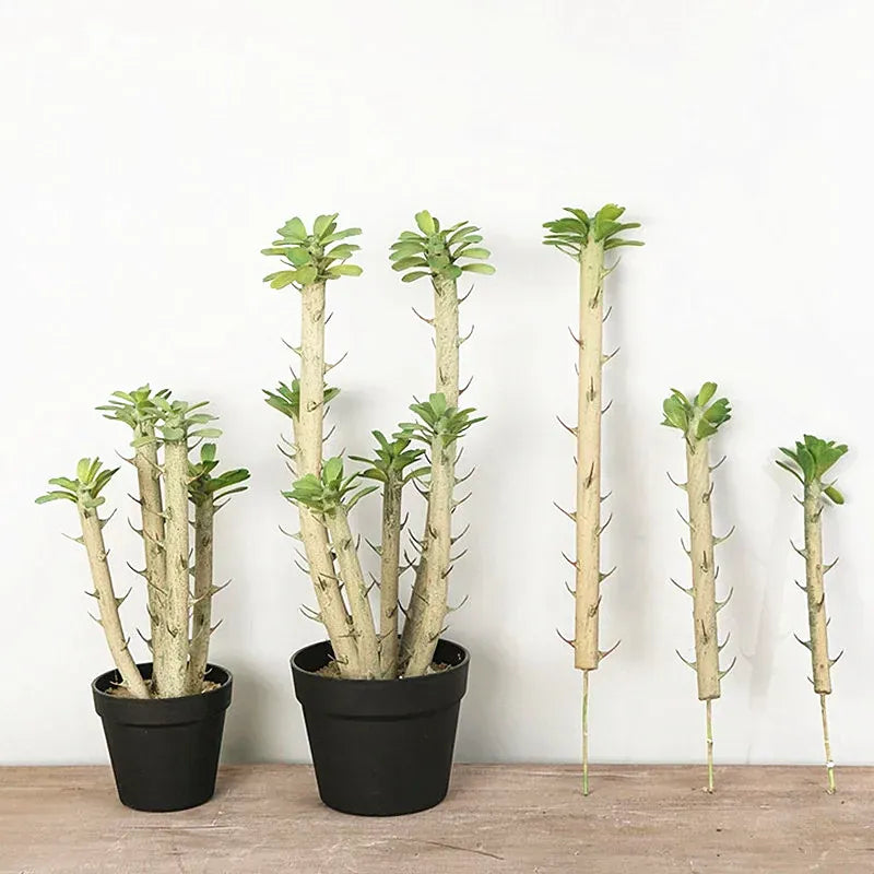 Euphorbia Cactus Artificiel