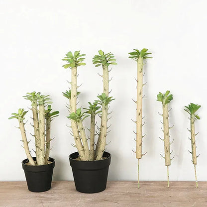 Euphorbia Cactus Artificiel