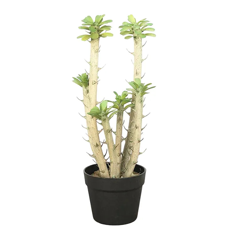 Euphorbia Cactus Artificiel