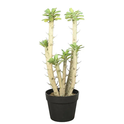 Euphorbia Cactus Artificiel