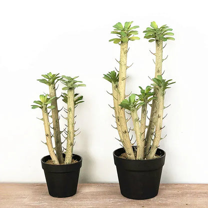 Euphorbia Cactus Artificiel
