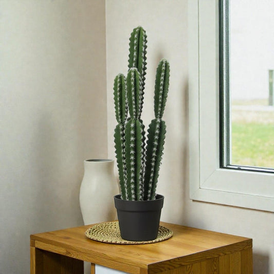 Euphorbia trigona Cactus Artificiel