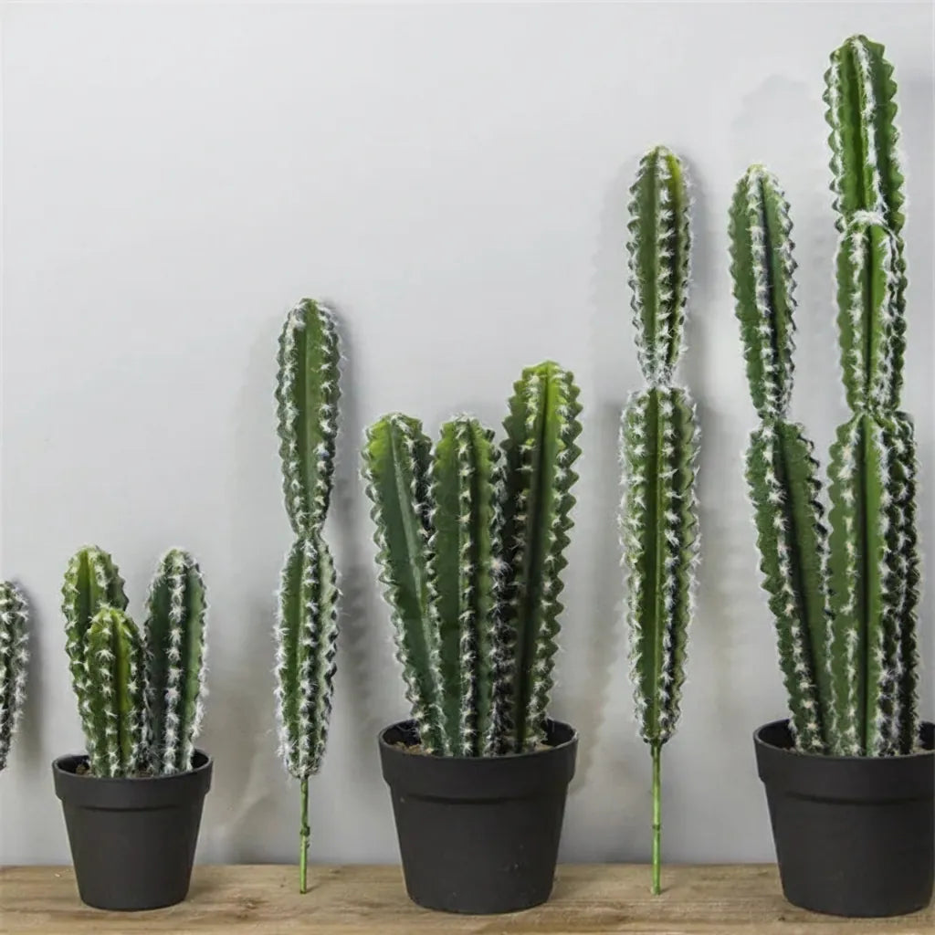 Euphorbia trigona Cactus Artificiel