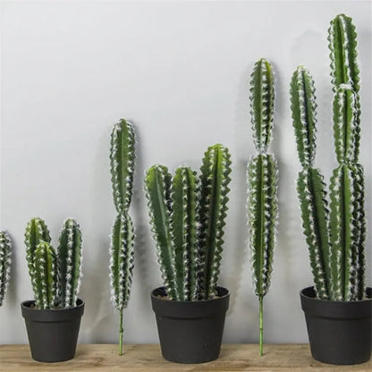 Euphorbia trigona Cactus Artificiel