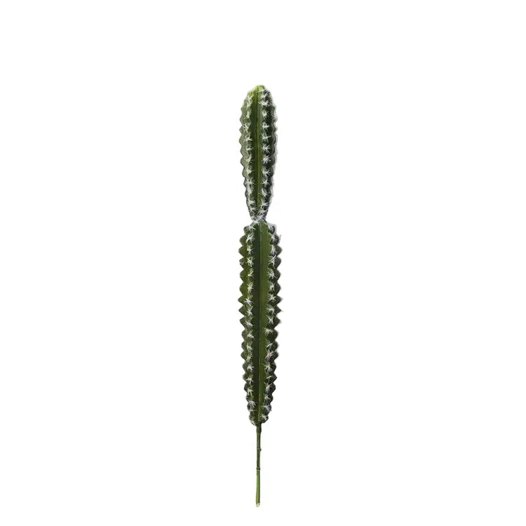 Euphorbia trigona Cactus Artificiel