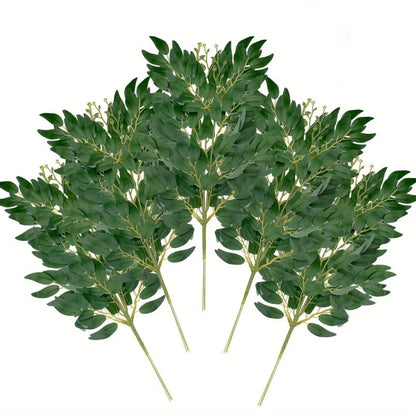 Feuilles de Ruscus