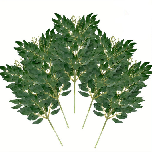 Feuilles de Ruscus