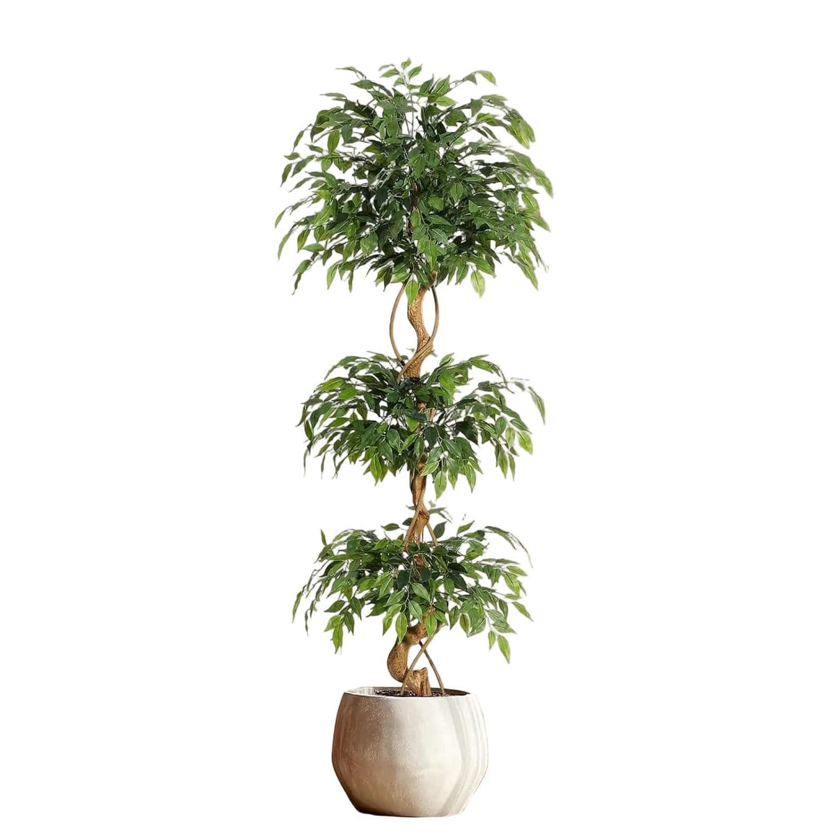 Ficus Tressé Artificiel