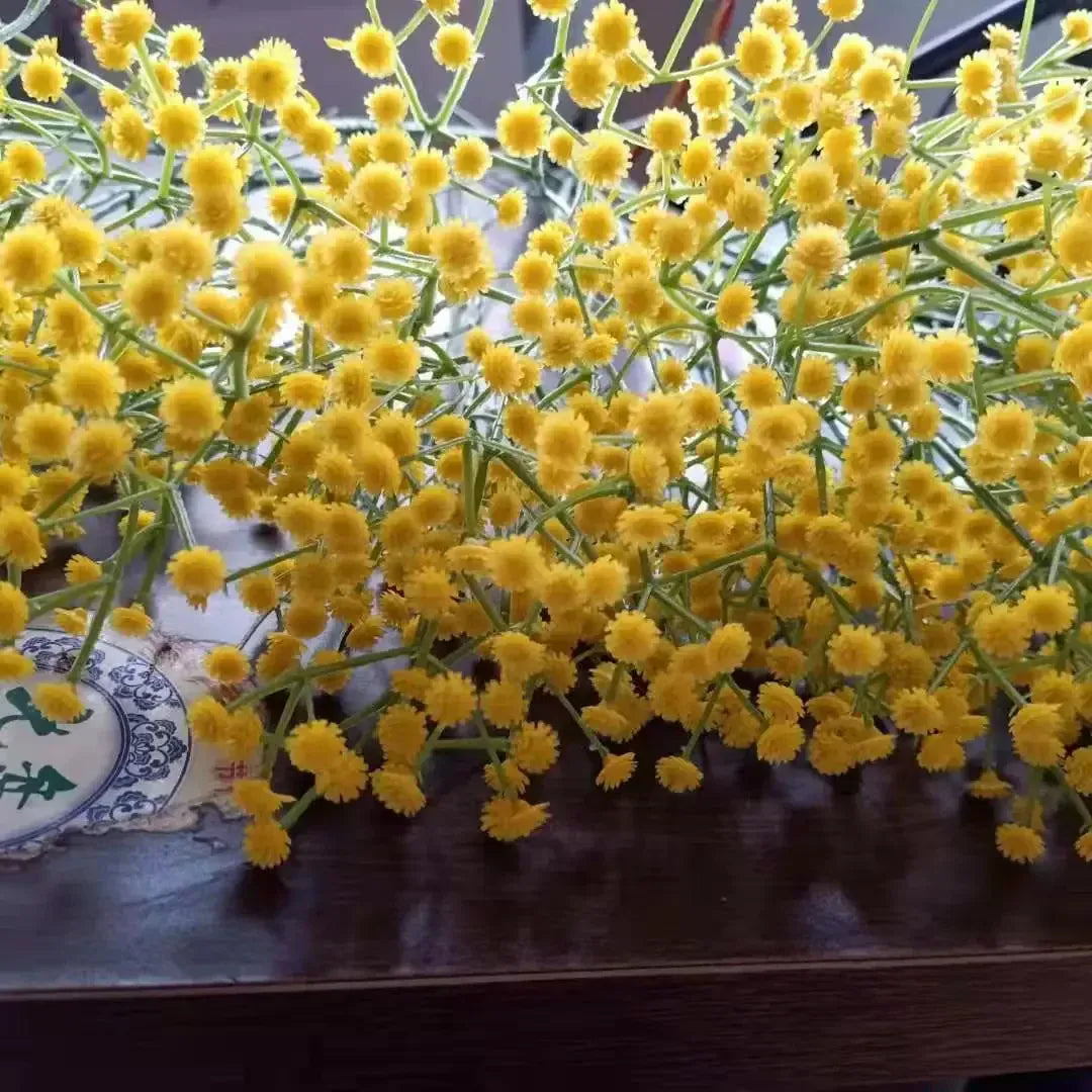 Fleurs de Gypsophile Artificielles