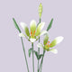 Fleurs à Construire