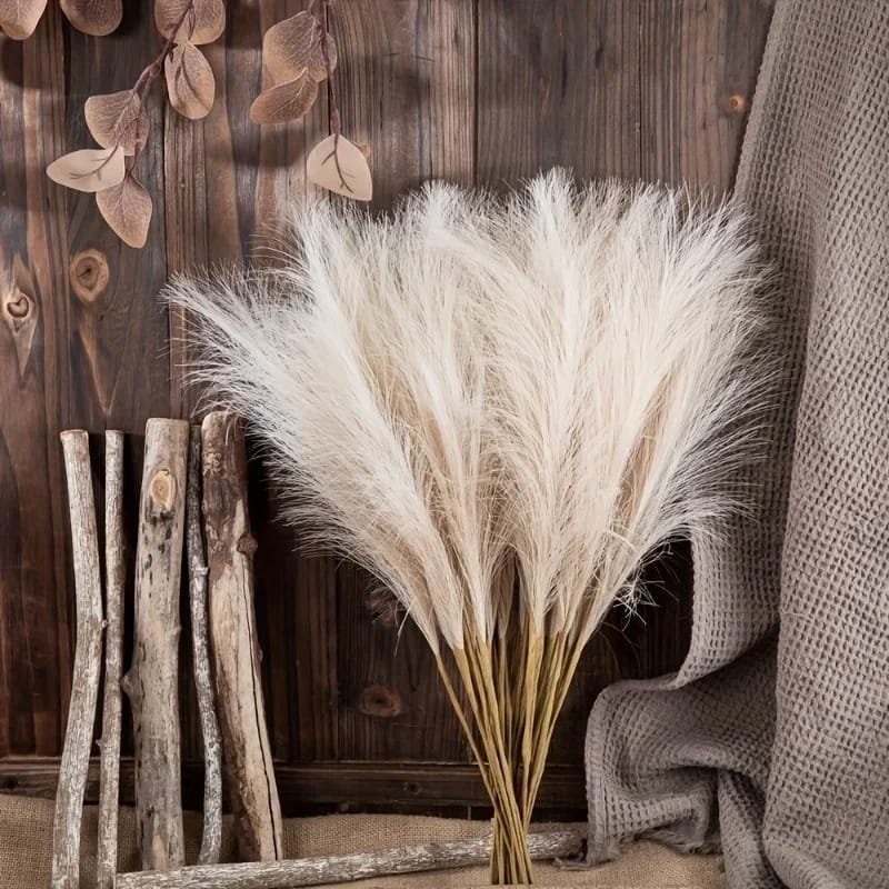 Herbe de Pampas