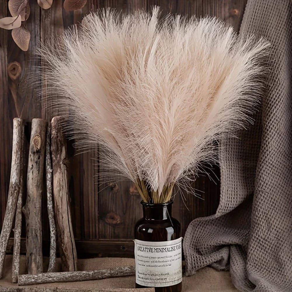 Herbe de Pampas