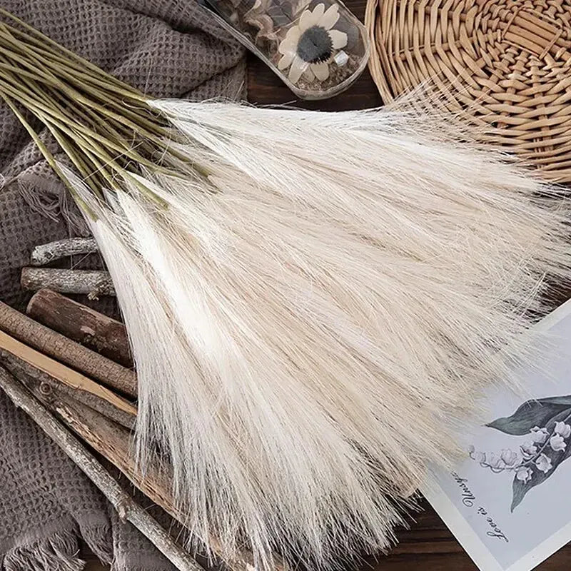 Herbe de Pampas