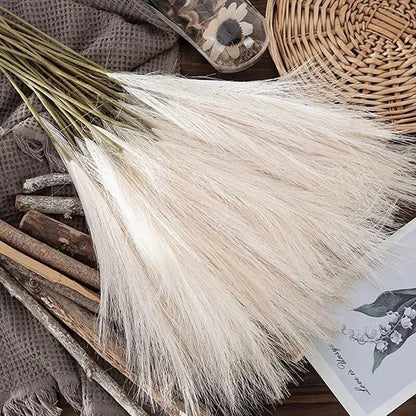 Herbe de Pampas