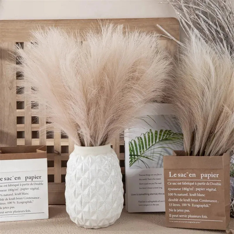 Herbe de Pampas